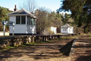 tamdhu